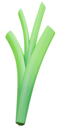 footer image of onion